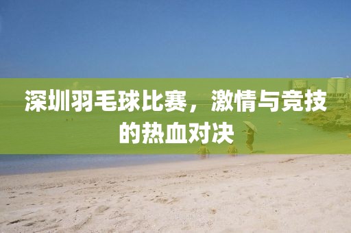 深圳羽毛球比賽，激情與競技的熱血對決