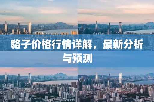 貉子價(jià)格行情詳解，最新分析與預(yù)測(cè)