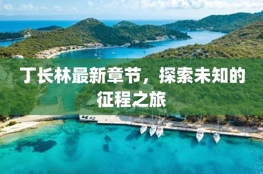 丁長林最新章節(jié)，探索未知的征程之旅