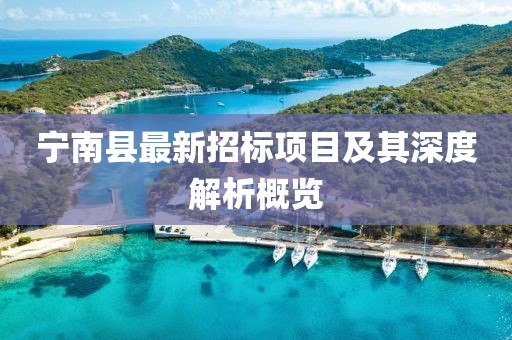 寧南縣最新招標(biāo)項目及其深度解析概覽