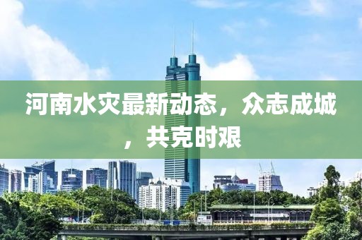 河南水災(zāi)最新動態(tài)，眾志成城，共克時艱