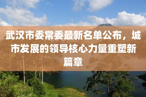武漢市委常委最新名單公布，城市發(fā)展的領(lǐng)導核心力量重塑新篇章