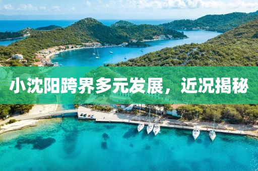 小沈陽跨界多元發(fā)展，近況揭秘