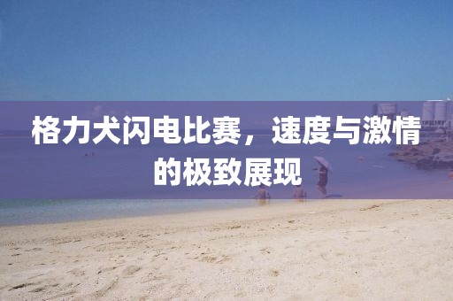 格力犬閃電比賽，速度與激情的極致展現(xiàn)