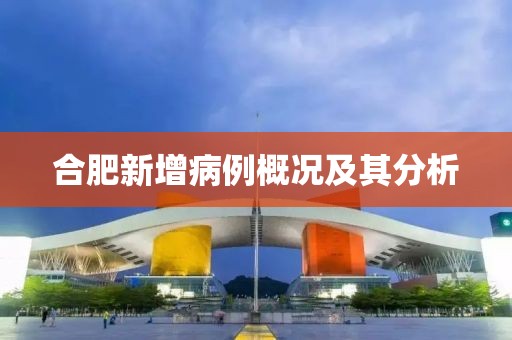 合肥新增病例概況及其分析