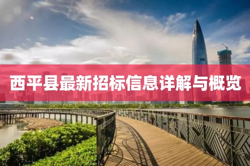 西平縣最新招標(biāo)信息詳解與概覽