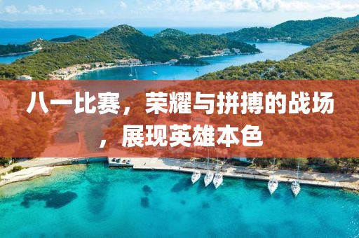 八一比賽，榮耀與拼搏的戰(zhàn)場(chǎng)，展現(xiàn)英雄本色
