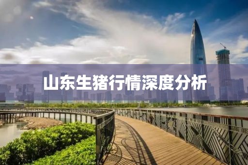 山東生豬行情深度分析