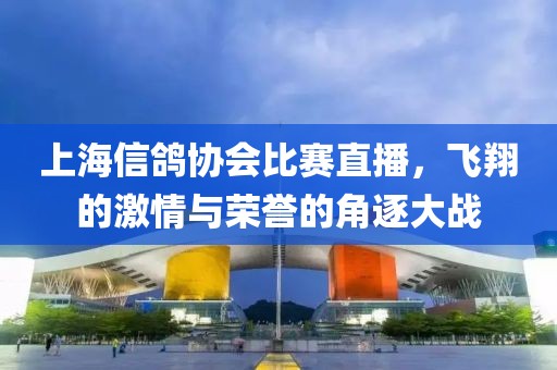 上海信鴿協(xié)會(huì)比賽直播，飛翔的激情與榮譽(yù)的角逐大戰(zhàn)