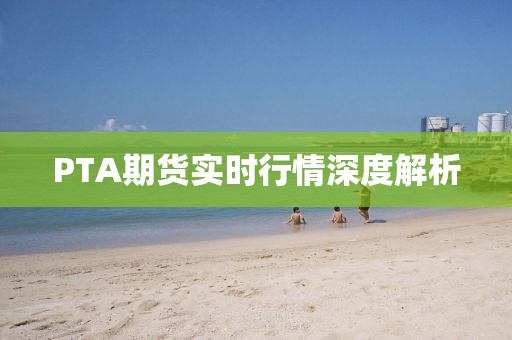 PTA期貨實(shí)時(shí)行情深度解析