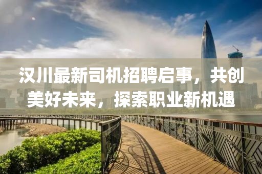 漢川最新司機(jī)招聘啟事，共創(chuàng)美好未來，探索職業(yè)新機(jī)遇