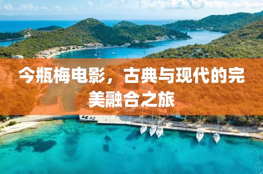 今瓶梅電影，古典與現(xiàn)代的完美融合之旅