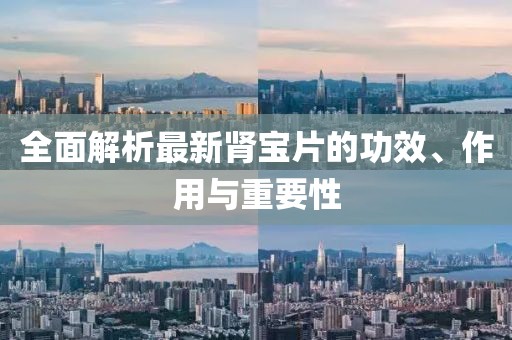 全面解析最新腎寶片的功效、作用與重要性