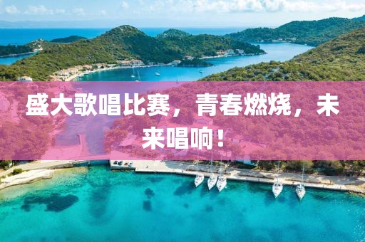 盛大歌唱比賽，青春燃燒，未來(lái)唱響！