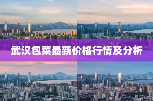 武漢包菜最新價(jià)格行情及分析