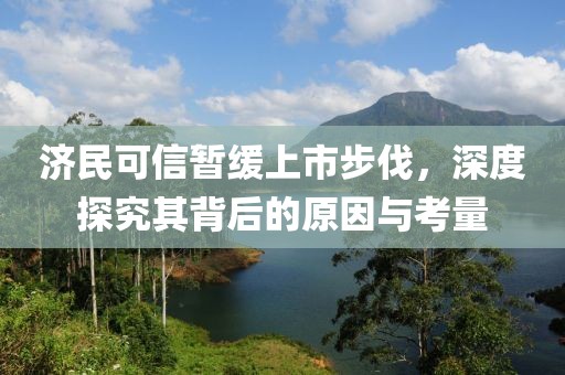 濟(jì)民可信暫緩上市步伐，深度探究其背后的原因與考量