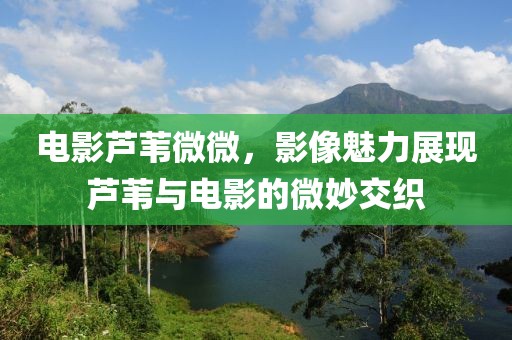 電影蘆葦微微，影像魅力展現(xiàn)蘆葦與電影的微妙交織