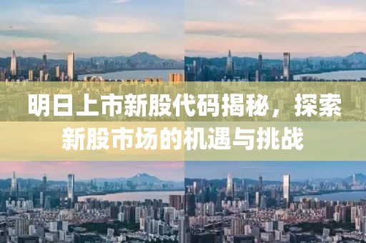 明日上市新股代碼揭秘，探索新股市場的機遇與挑戰(zhàn)