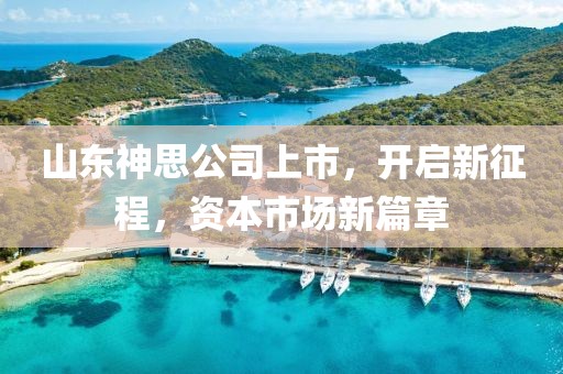 山東神思公司上市，開啟新征程，資本市場新篇章