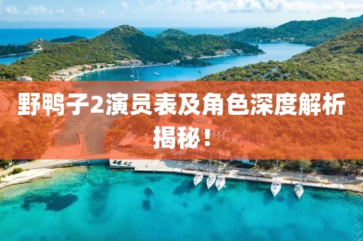 野鴨子2演員表及角色深度解析揭秘！