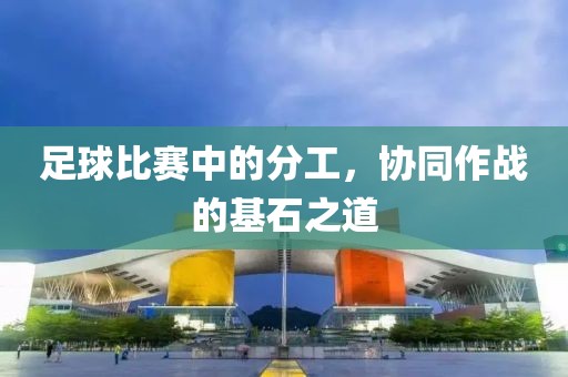 足球比賽中的分工，協(xié)同作戰(zhàn)的基石之道