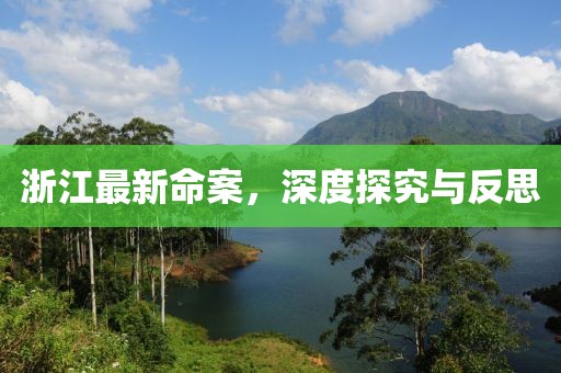 浙江最新命案，深度探究與反思