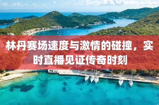 林丹賽場(chǎng)速度與激情的碰撞，實(shí)時(shí)直播見證傳奇時(shí)刻