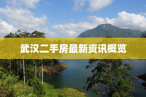 武漢二手房最新資訊概覽