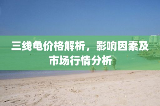 三線龜價格解析，影響因素及市場行情分析