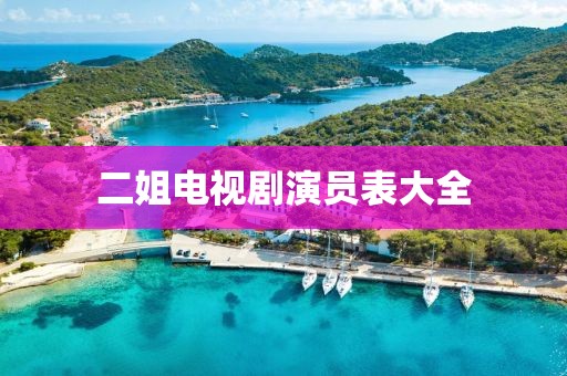 二姐電視劇演員表大全