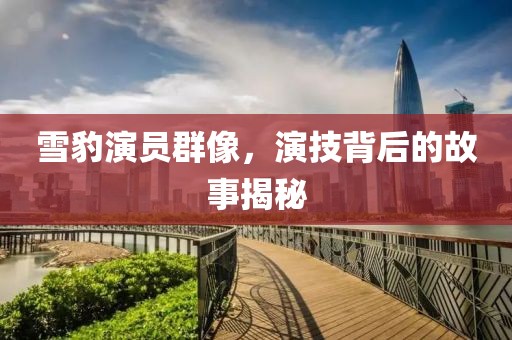 雪豹演員群像，演技背后的故事揭秘