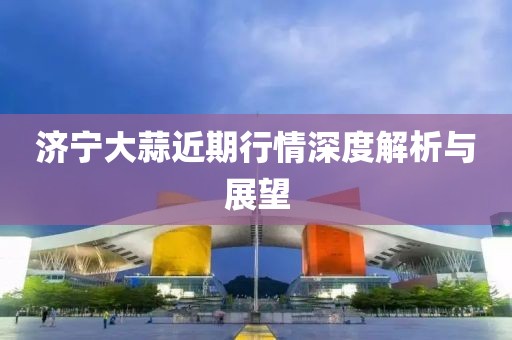 濟(jì)寧大蒜近期行情深度解析與展望