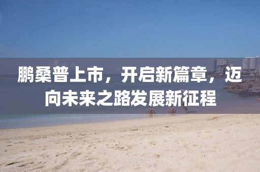 鵬桑普上市，開(kāi)啟新篇章，邁向未來(lái)之路發(fā)展新征程