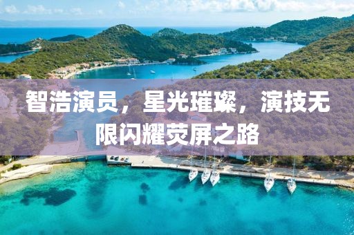 智浩演員，星光璀璨，演技無(wú)限閃耀熒屏之路