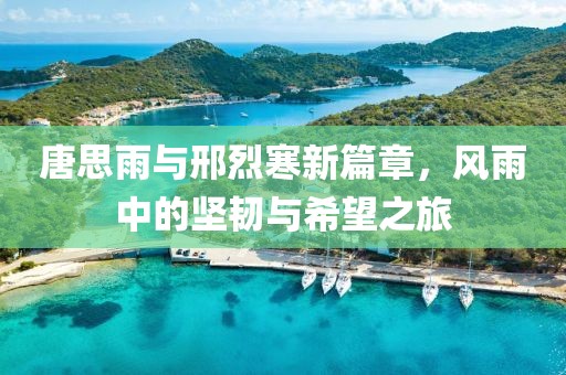 唐思雨與邢烈寒新篇章，風(fēng)雨中的堅韌與希望之旅