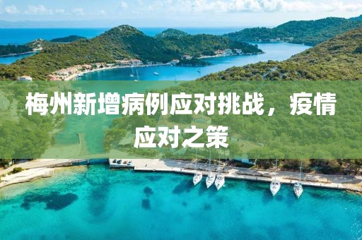 晴嶼花綿綿 第14頁(yè)