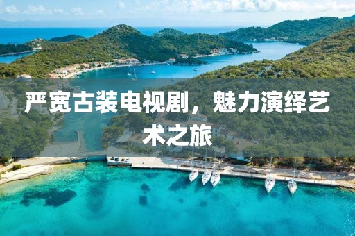 嚴(yán)寬古裝電視劇，魅力演繹藝術(shù)之旅