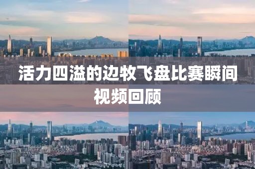 活力四溢的邊牧飛盤比賽瞬間視頻回顧