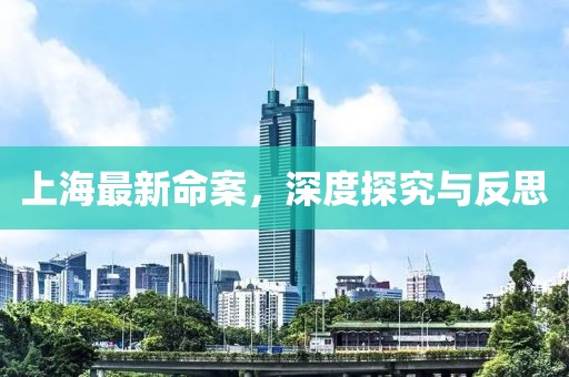 上海最新命案，深度探究與反思