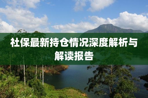 社保最新持倉情況深度解析與解讀報(bào)告