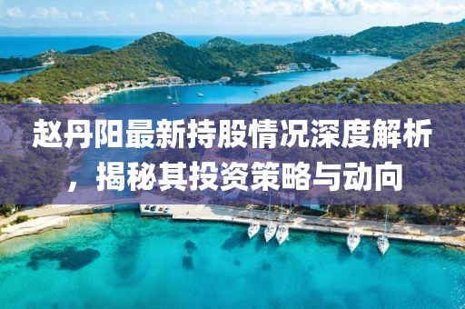 趙丹陽最新持股情況深度解析，揭秘其投資策略與動(dòng)向