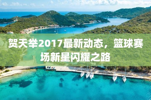 賀天舉2017最新動態(tài)，籃球賽場新星閃耀之路