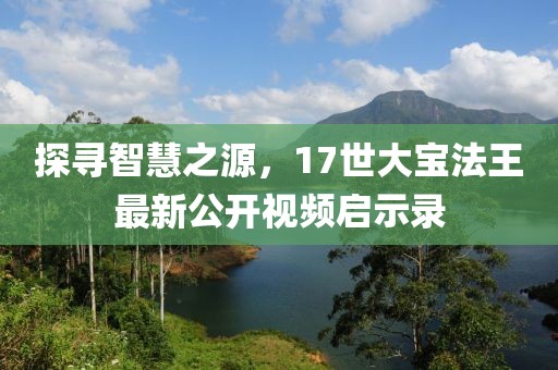 探尋智慧之源，17世大寶法王最新公開視頻啟示錄