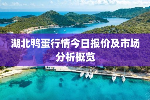 湖北鴨蛋行情今日?qǐng)?bào)價(jià)及市場分析概覽