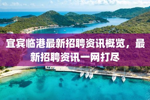 宜賓臨港最新招聘資訊概覽，最新招聘資訊一網(wǎng)打盡