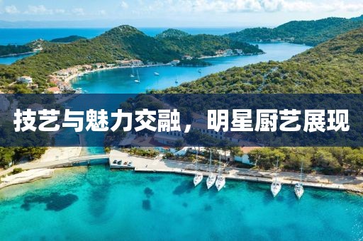 技藝與魅力交融，明星廚藝展現(xiàn)