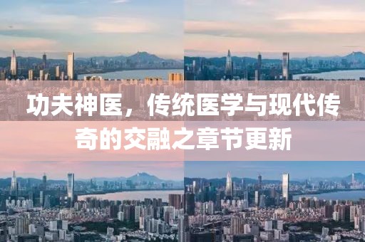 功夫神醫(yī)，傳統(tǒng)醫(yī)學與現(xiàn)代傳奇的交融之章節(jié)更新