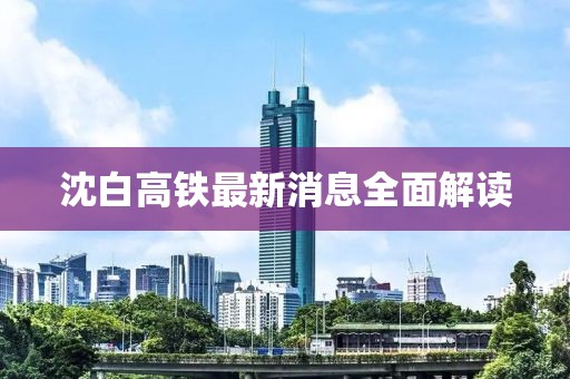 沈白高鐵最新消息全面解讀