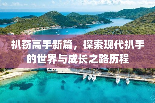 扒竊高手新篇，探索現(xiàn)代扒手的世界與成長之路歷程