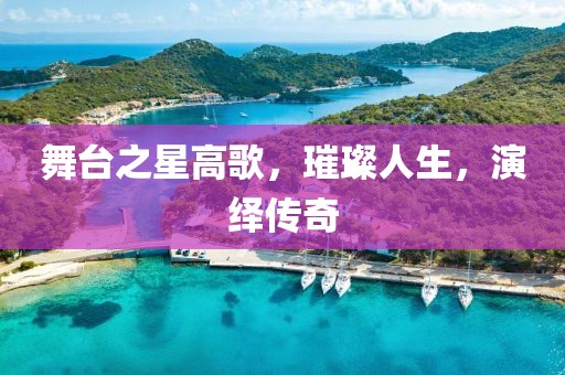 舞臺(tái)之星高歌，璀璨人生，演繹傳奇